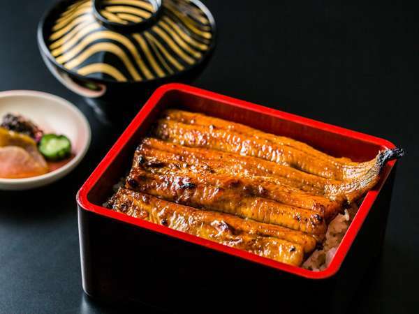 選べるうなぎ夕食プラン うな重特上 Or ひつまぶし 温泉 朝食付 ホテルマイステイズプレミア札幌パーク 宿泊予約は じゃらん