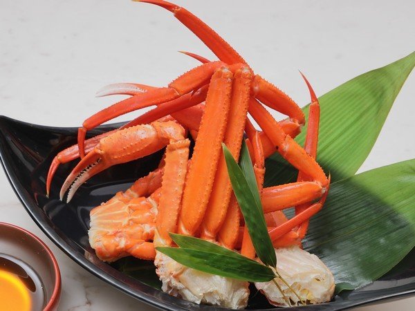 ホテルセキア ペア宿泊券 1泊朝食付き グリーンランド入園券 ホテルセキア ペア宿泊券 1泊朝食付き グリーンランド入園券