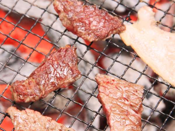 大人１０名以上 の予約限定 大自然でbbq お夕食はバーベキューを楽しむ２食付 体験 先着３組限定 海ノ口温泉 湯元ホテル 和泉館 宿泊予約は じゃらん