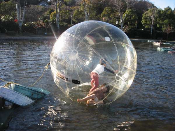 伊豆ぐらんぱる公園入園券付 お得な1泊2食バイキングプラン ウェルネスの森 伊東 宿泊予約は じゃらん