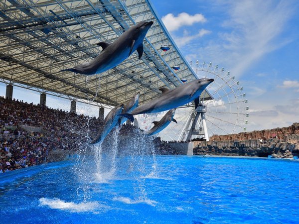 名古屋港水族館】嬉しい割引チケット付☆お得に海の仲間に会いにいこう