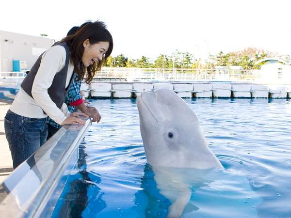 横浜・八景島シーパラダイス】（アクアリゾーツパス付）☆素泊り