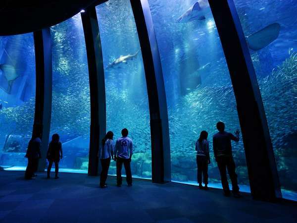 横浜・八景島シーパラダイス】ワンデーパス付☆素泊り☆水族館４施設