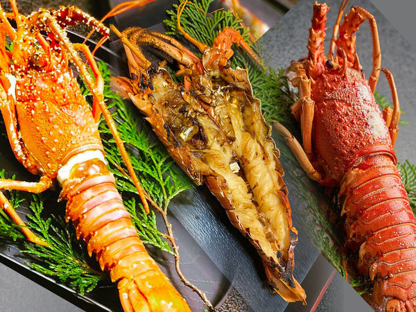 活！伊勢海老丸ごとお一人1尾！伊勢海老プラン！伊勢海老、鮑、鯛の船