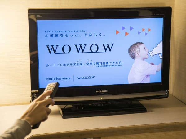 晴れの国 おかやまスタンダードプラン 和洋朝食バイキング付 イオンモール岡山お隣 アークホテル岡山 ルートインホテルズ 宿泊予約は じゃらん