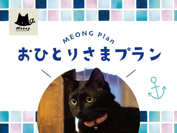 猫が好き お一人様プラン 猫と過ごすバリ風民宿ｍｅｏｎｇ楽宿白浜店 宿泊予約は じゃらん