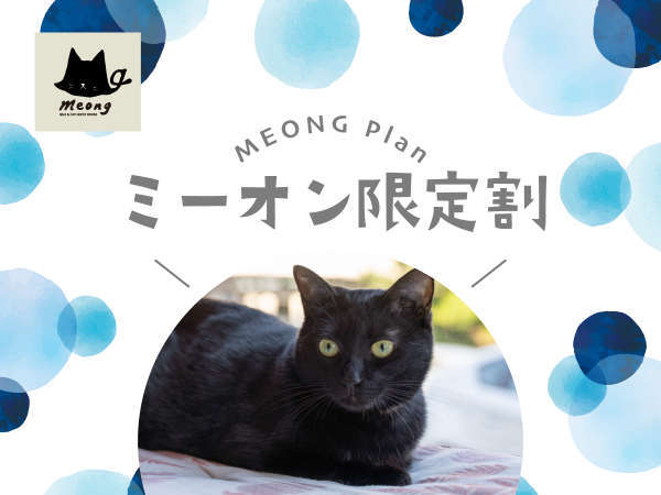 猫が好き 夏をお得に限定割プラン オンライン決済のみ 予約時からキャンセル料100 猫と過ごすバリ風民宿ｍｅｏｎｇ楽宿白浜店 宿泊予約は じゃらん