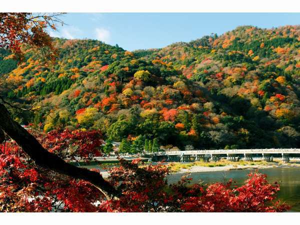 京都 紅葉 嵐山の紅葉の見頃は11 16 11 30宿泊が狙い目 飲み放題付 京都 嵐山温泉 花伝抄 かでんしょう 宿泊予約は じゃらん