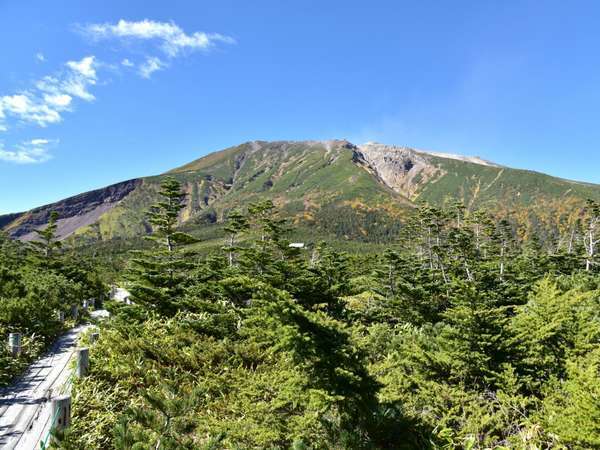 夕食のみ】お部屋食で木曽の味覚を楽しめる王滝村の旅館！早朝から御嶽