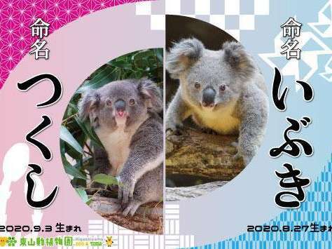 東山動植物園プラン入場券&ミネラルウォーター付 ハミルトンホテル