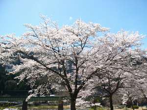 飛騨川一望の和室10畳 素泊りプラン 旅館 瓢きん 宿泊予約は じゃらん