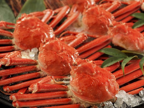 グルメプラン】本ズワイガニ姿まるごと食べ放題付1泊2食 基本