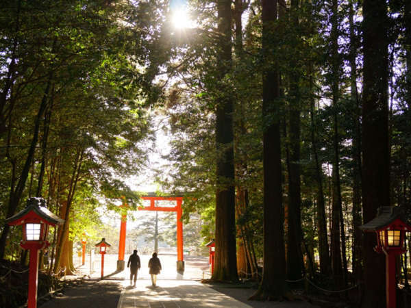 ひとり旅 人気のパワースポット霧島神社まで徒歩3分 夕食は女性に嬉しい ヘルシー黒豚しゃぶしゃぶ 霧島神宮の門前宿 民宿 登山口温泉 霧島神宮前ユースホステル 宿泊予約は じゃらん