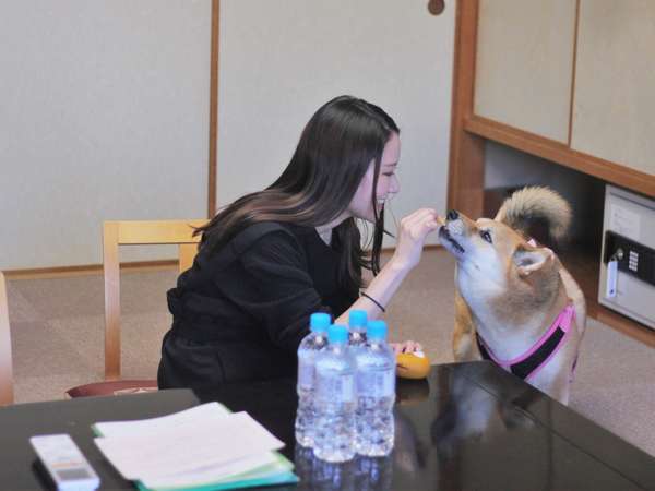 ワンちゃんとお出かけ ペットと泊まれるお部屋 ご主人様は1泊2食付き ペット同伴ルーム ニュー グリーンピア 津南 宿泊予約は じゃらん