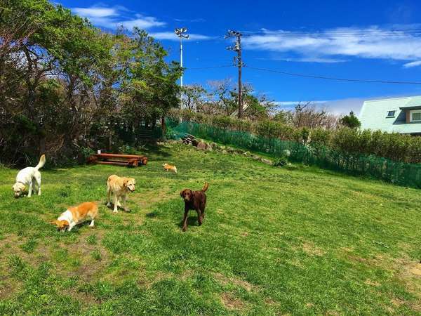 08 初めてのご旅行のわんちゃんおすすめ ご安心ください 初めてお泊り愛犬旅行満喫プラン 箱根強羅グアムドッグ本店 宿泊予約は じゃらん