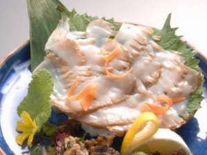戸田菜穂ｃｍの 虎魚家 のアワビ刺身付きオコゼ会席 料亭旅館魚信 宿泊予約は じゃらん