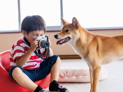 新登場 愛犬も家族の一員 わんちゃんといつも一緒 ２食付 Love ワンちゃん プラン ホテルノイシュロス小樽 宿泊予約は じゃらん