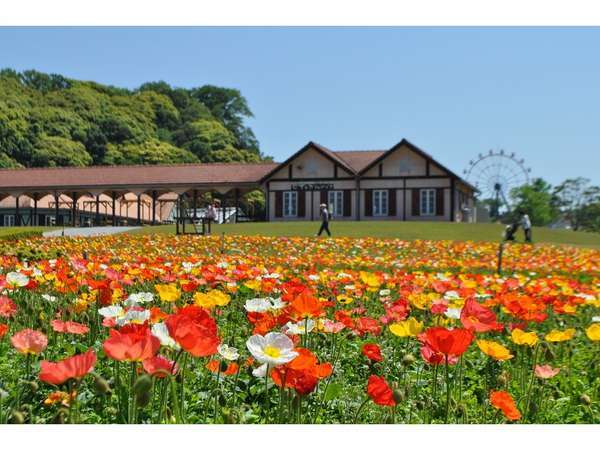 広大な敷地と圧巻の花畑 屋外施設で密回避 東京ドイツ村入場券付きプラン 小学生までのお子様添寝無料 五井グランドホテル 宿泊予約は じゃらん