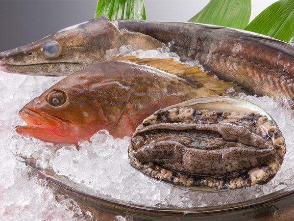 瀬戸内 姿盛り 瀬戸内海沿いの宿 だからこそ 新鮮な刺身 が食べたい 4大特典付 鞆の浦温泉 絶景の宿 鴎風亭 宿泊予約は じゃらん