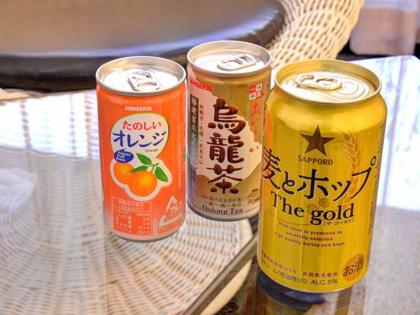 お1人様4800円 2食付 1日1室限定 冷蔵庫飲み物2本無料特典付 セミダブル利用だからお得 ホテル網元 宿泊予約は じゃらん