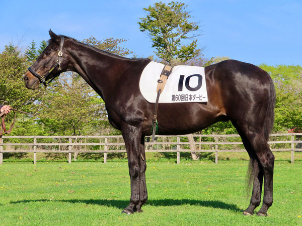 ダービー馬・ウイニングチケットコンセプトルーム宿泊】競馬