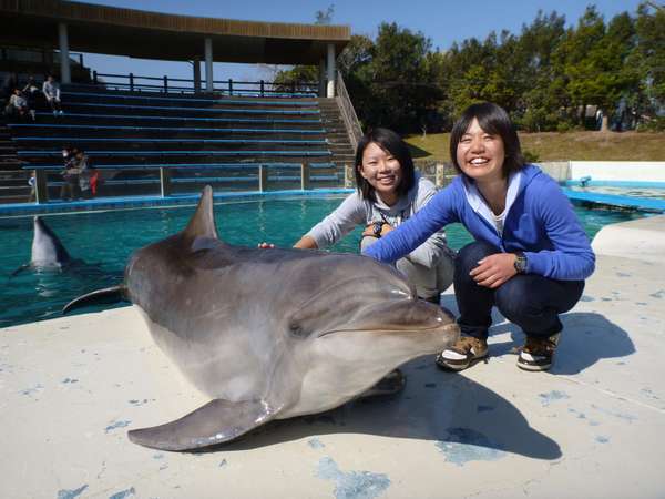 世界最大級の規模！太地町立くじらの博物館のお得な入館券付＜オール