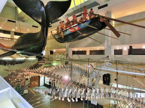 世界最大級の規模！太地町立くじらの博物館のお得な入館券付＜オール