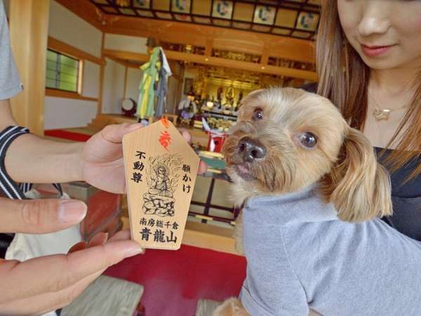 わんちゃん健康祈願 愛犬の元気を祈って 花の寺 能蔵院 でわんちゃん厄祓いプラン お守り付き 南房総温泉 白浜オーシャンリゾート 宿泊予約は じゃらん