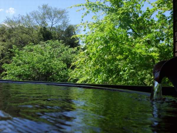 朝食なしで朝寝坊 卵水 たまごみず 温泉を朝もゆっくりと満喫 １泊夕食付プラン 秩父七湯 御代の湯 新木鉱泉旅館 露天風呂付き客室も温泉の宿 宿泊予約は じゃらん