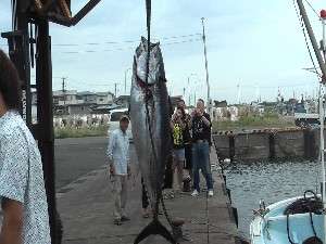 お手軽プラン 体験型民宿 葵 宿泊予約は じゃらん