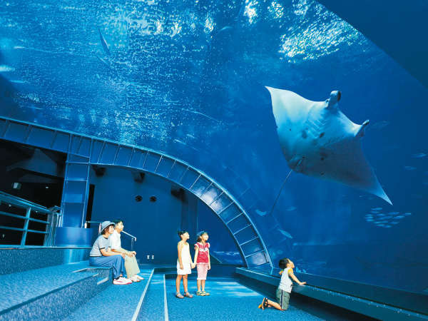 沖縄美ら海水族館と世界遺産を見に行こう 入場券付き観光ステイ 朝食付 マリンピアザオキナワ 宿泊予約は じゃらん