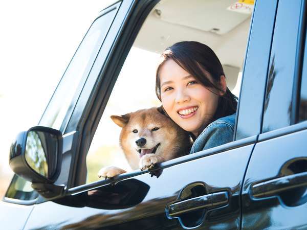 個室食 ペットと泊まれるプラン一番人気 鮑の踊り焼 ほくほくの金目鯛煮つけ 愛犬と一緒 下田湾を一望できる全室オーシャンビューの宿 黒船ホテル 宿泊予約は じゃらん