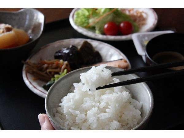 期間限定 カップルプラン 朝食が今だけgoodprice いつもより500円お得な朝食付 Jr東日本ホテルメッツ 新潟 宿泊予約は じゃらん