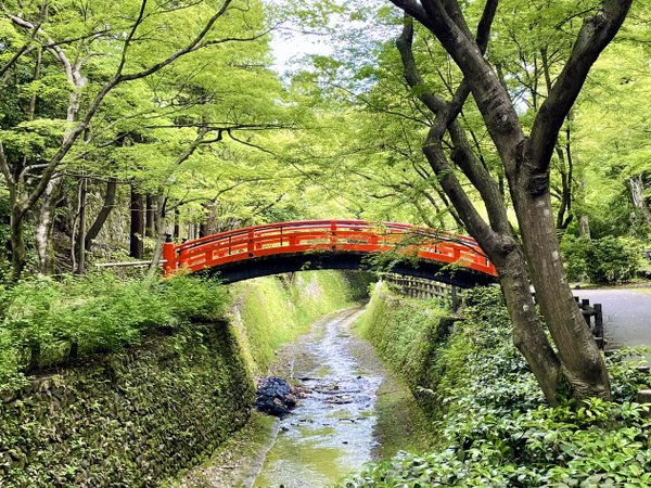 ファミリーにおすすめ 京都鉄道博物館チケット付プラン アーバンホテル京都二条プレミアム 宿泊予約は じゃらん