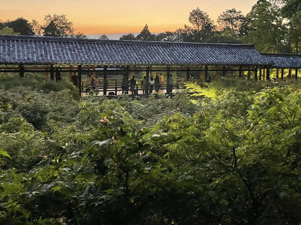 朝食付 東福寺ライトアップ 夜間特別拝観クーポン付きプラン アーバンホテル京都二条プレミアム 宿泊予約は じゃらん