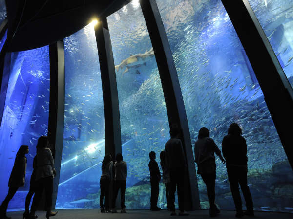 冬の横浜 八景島シーパラダイス 水族館4施設 アトラクション 朝食付き ニューオータニイン横浜プレミアム 宿泊予約は じゃらん
