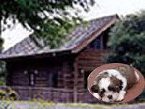 ペットと泊まろう 定番 和会席 その日一番良い食材でもてなす日替わりの美味 神去村会席 火の谷温泉 美杉リゾート ホテルａｎｎｅｘ 宿泊予約は じゃらん