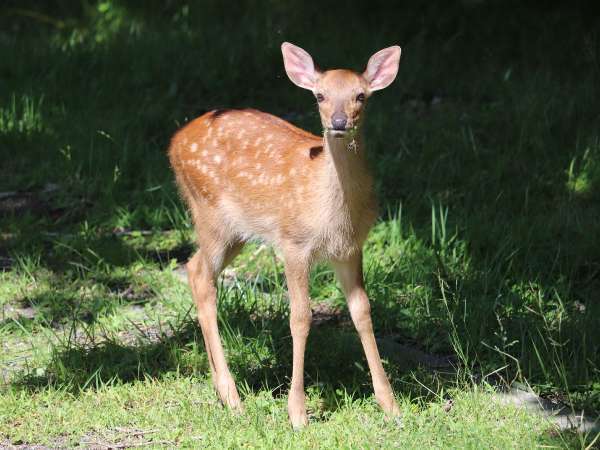 旅行プランはご自由に 素泊まり ハーベストイン ブルーリボン 宿泊予約は じゃらん