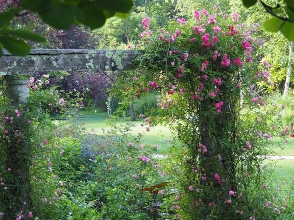 蓼科高原バラクライングリッシュガーデン ２食付 入園券付 ご宿泊プラン 天空の楽園 車山高原スカイパークホテル 宿泊予約は じゃらん