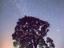 �v�`���]�[�g�@�A�s�A