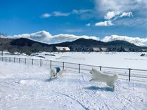 エンゼルフォレスト白河高原