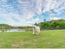 エンゼルフォレスト白河高原