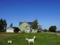 �����C�[�n�g�[���z�X�e��