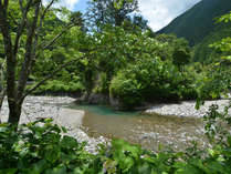 �ׂӋ�����