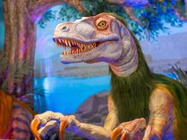 �ςȃz�e�����@�S�֋�