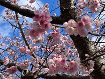 �c���������@�i�������������@�D��i�x�t�|�f�`�j