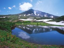 ���r�X�^���R�i�������]�[�g�j