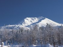 ���r�X�^���R�i�������]�[�g�j