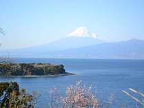 ���h�͂������