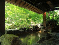 �V�b�q���� �ܕ���